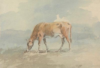 Mucca al pascolo da Sawrey Gilpin