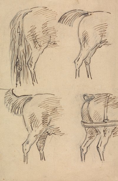 Quattro schizzi di quarti posteriori di cavallo da Sawrey Gilpin