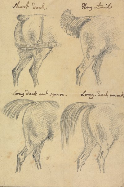 Quattro schizzi di code di cavallo da Sawrey Gilpin