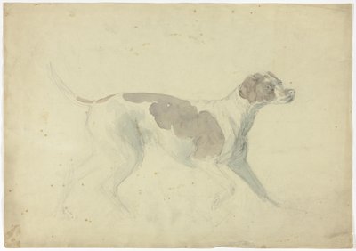 Cane da caccia (recto); schizzi di cavallo e cavaliere (verso) da Sawrey Gilpin
