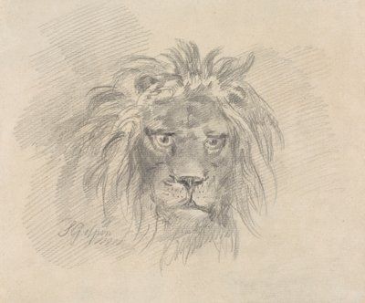 Testa di un leone da Sawrey Gilpin