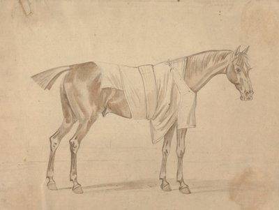 Cavallo vestito con coperta da Sawrey Gilpin