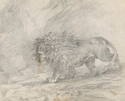 Leone che cammina in un paesaggio roccioso da Sawrey Gilpin
