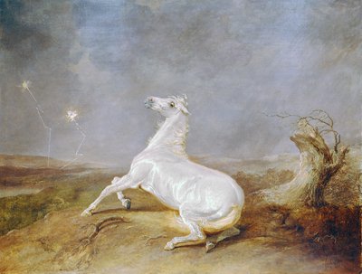 Cavallo pazzo da Sawrey Gilpin
