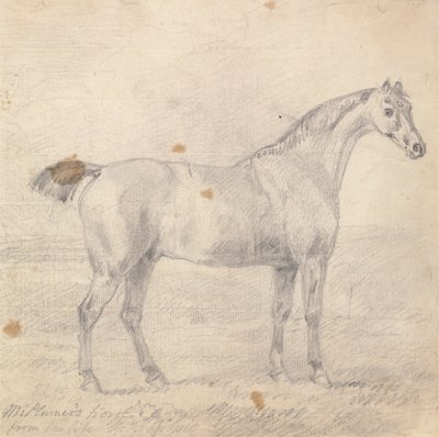 Il Cavallo del Signor Plumer da Sawrey Gilpin