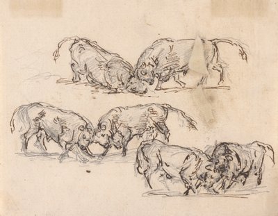 Studi di corrida da Sawrey Gilpin