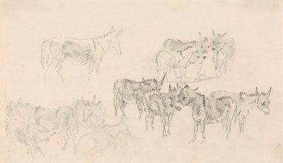 Studi di asini da Sawrey Gilpin