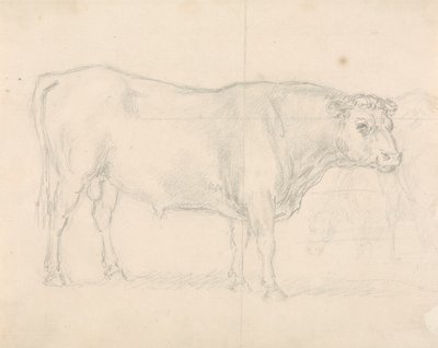 Studio di un Toro da Sawrey Gilpin