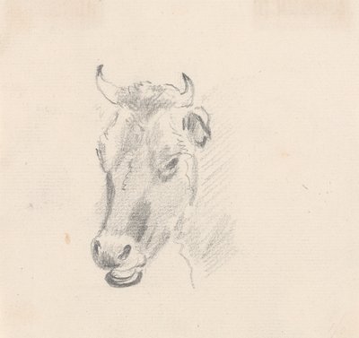 Studio della testa di una mucca da Sawrey Gilpin
