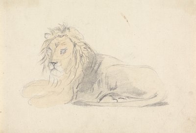 Studio di un leone da Sawrey Gilpin