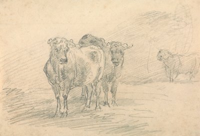 Due mucche su una collina da Sawrey Gilpin