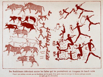 I boscimani difendono un branco di buoi dalle mosche, dopo un dipinto eseguito da un boscimano sulle pareti di una grotta nei pressi di Hermon (Africa meridionale) da School African