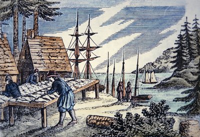 Pescatori che asciugano il merluzzo in Nuova Inghilterra, da un