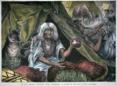 Cibo dei nativi americani (incisione colorata) da School American