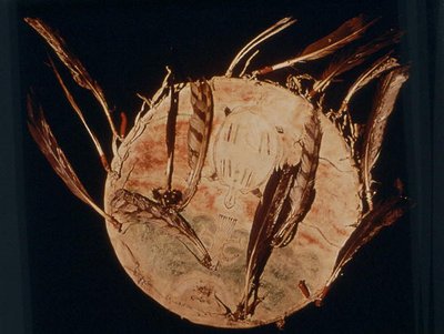 Scudo del guerriero, tribù Cheyenne da School American
