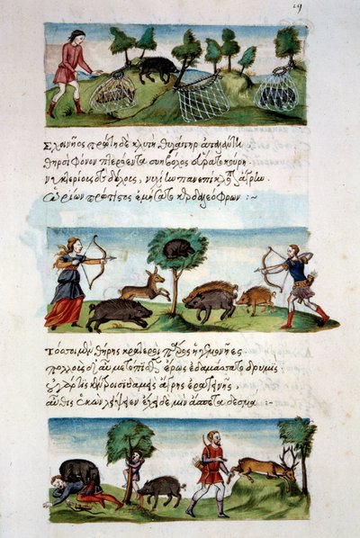 Arte bizantina: caccia al cinghiale. Diverse tecniche di caccia. In alto: cattura di barbabietole nelle reti. Al centro caccia al gioco con l
