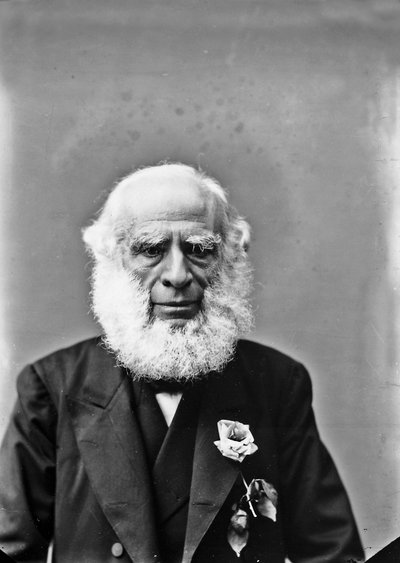 Ritratto di un uomo anziano da Henry Charles Fehr