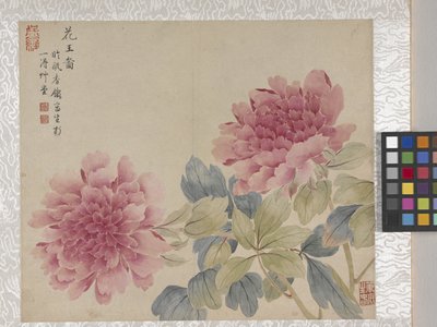 Album di 8 foglie di fiori, metà 1700 da School Chinese