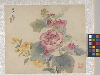 Album di 8 foglie di fiori, metà 1700 da School Chinese