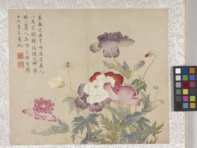 Album di 8 foglie di fiori, metà 1700 da School Chinese