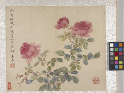 Album di 8 foglie di fiori, metà 1700 da School Chinese