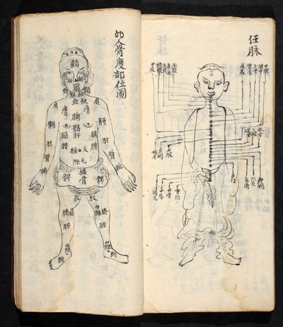 Punti di agopuntura lungo la linea centrale del corpo, da Jing Guan Qi Zhi, 