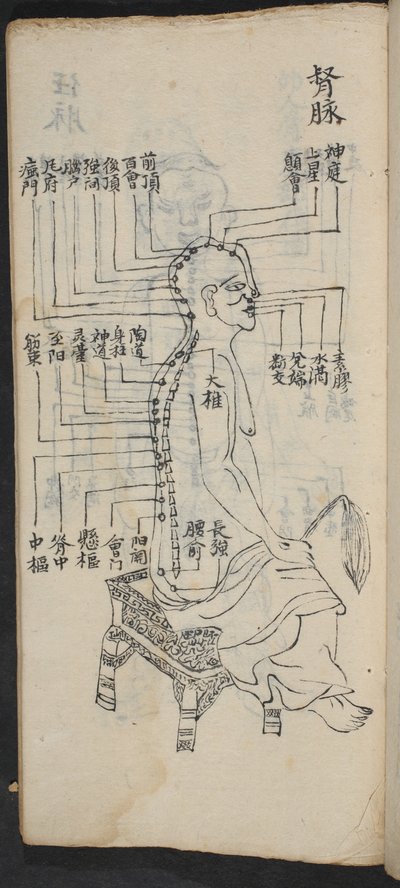 Punti di agopuntura lungo la colonna vertebrale e la testa, da Jing Guan Qi Zhi, 
