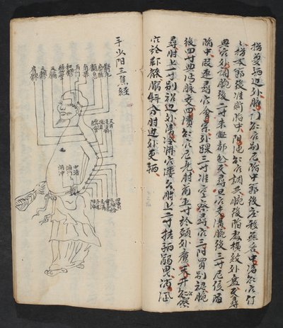 Punti di agopuntura sul braccio, collo e base della testa, da Jing Guan Qi Zhi, 