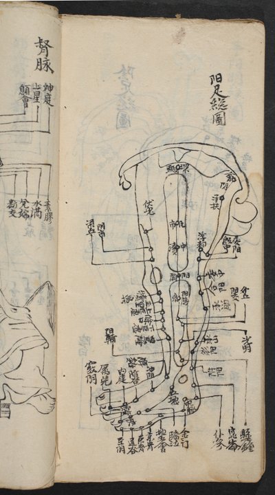 Punti di agopuntura sulla gamba, da Jing Guan Qi Zhi, 