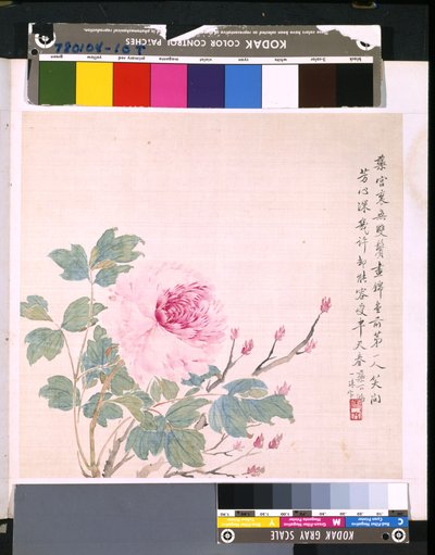 Album di fiori e uccelli da School Chinese