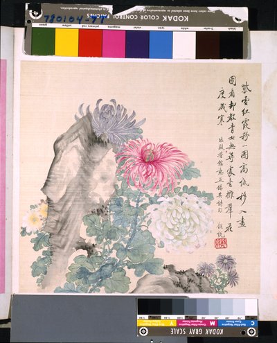 Album di fiori e uccelli da School Chinese