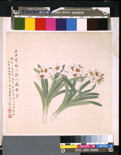Album di fiori e uccelli da School Chinese
