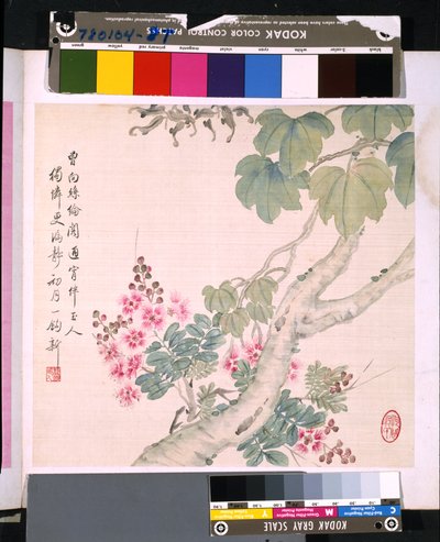 Album di Fiori e Uccelli, data sconosciuta da School Chinese
