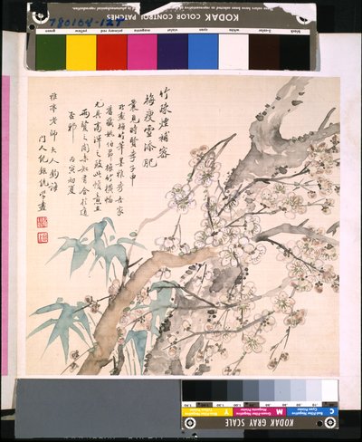 Album di fiori e uccelli, data sconosciuta da School Chinese