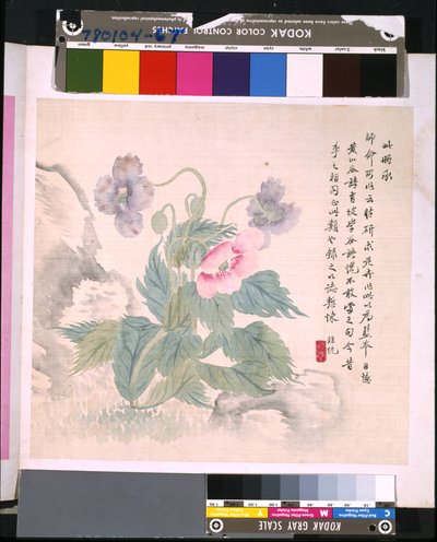 Album di fiori e uccelli da School Chinese