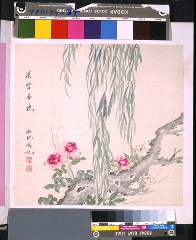 Album di fiori e uccelli, data sconosciuta da School Chinese