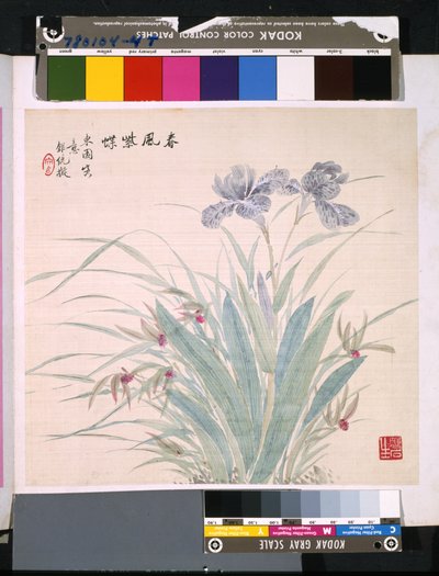 Album di fiori e uccelli da School Chinese