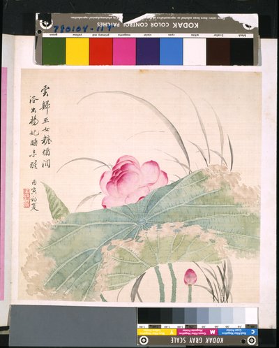 Album di Fiori e Uccelli, data sconosciuta da School Chinese