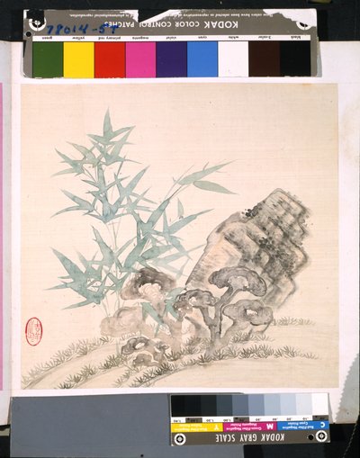 Album di fiori e uccelli da School Chinese