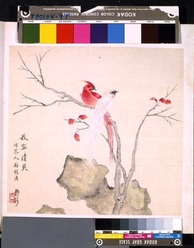 Album di fiori e uccelli da School Chinese