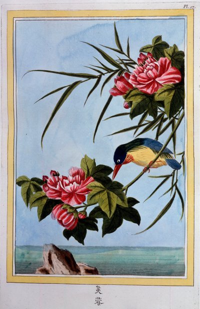 Uccello su un ramo (Uccello in volo?) Gouache del XVIII secolo Digione, biblioteca comunale da School Chinese