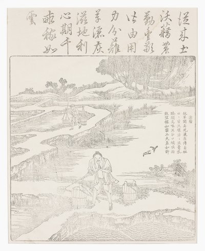 Fertilizzazione delle piantine di riso da School Chinese