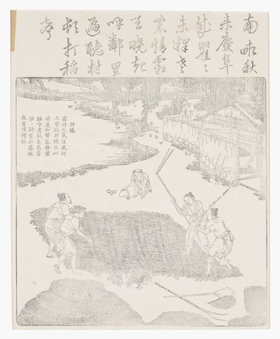 Trebbiare il riso da School Chinese