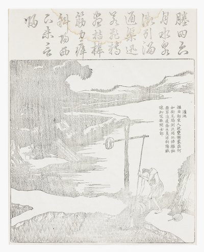 Irrigazione del campo di riso da School Chinese