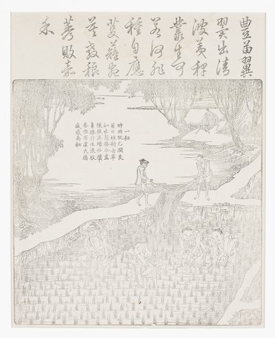 Irrigazione del riso da School Chinese