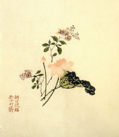 Fiore di loto da School Chinese