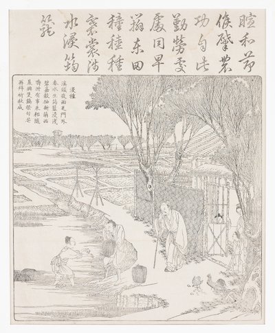 Mettere il riso in acqua per favorire la germinazione da School Chinese