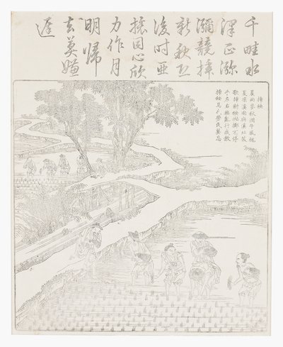 Piantare il riso da School Chinese