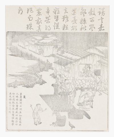 Setacciare il riso da School Chinese