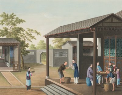 Produzione del tè, c. 1820 da School Chinese